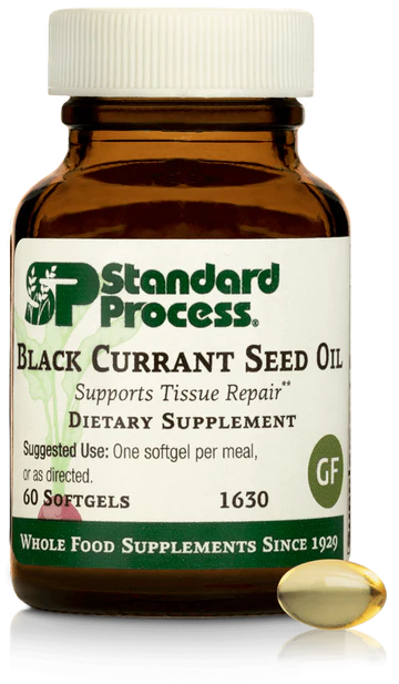 Standard Process - Black Currant Seed Oil - 60 Softgels