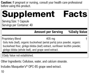 Standard Process - Ginkgo Synergy - 40 Capsules