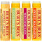 Burt's Bees Beeswax, Cucumber Mint, Watermelon, Sweet Mandarin Lip Balms - 4pk/0.6oz ea